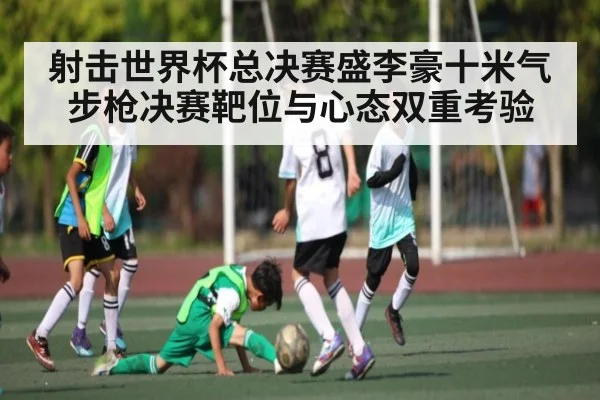 射击世界杯总决赛盛李豪十米气步枪决赛靶位与心态双重考验
